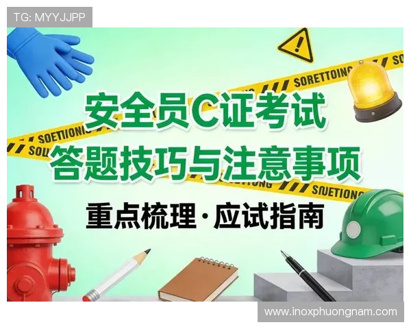 真人电子mg网站登录入口大全，确保账号安全的登录技巧与注意事项