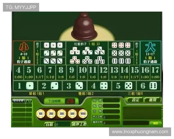 百家乐怎么玩的赌注和赔率详尽指南，帮助玩家理解不同投注方式的风险与收益